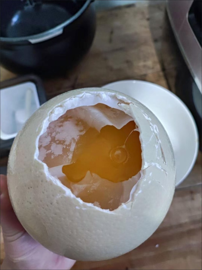 鸵鸟蛋