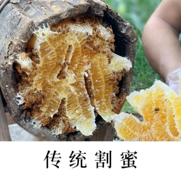 蜂蜜高山深山野生蜂蜜支持批发一件代发