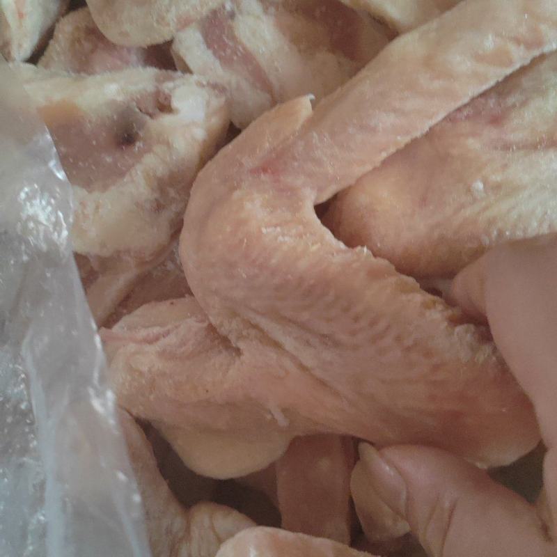鸭翅全鸭翅个头匀称颜色干净全露天饲养