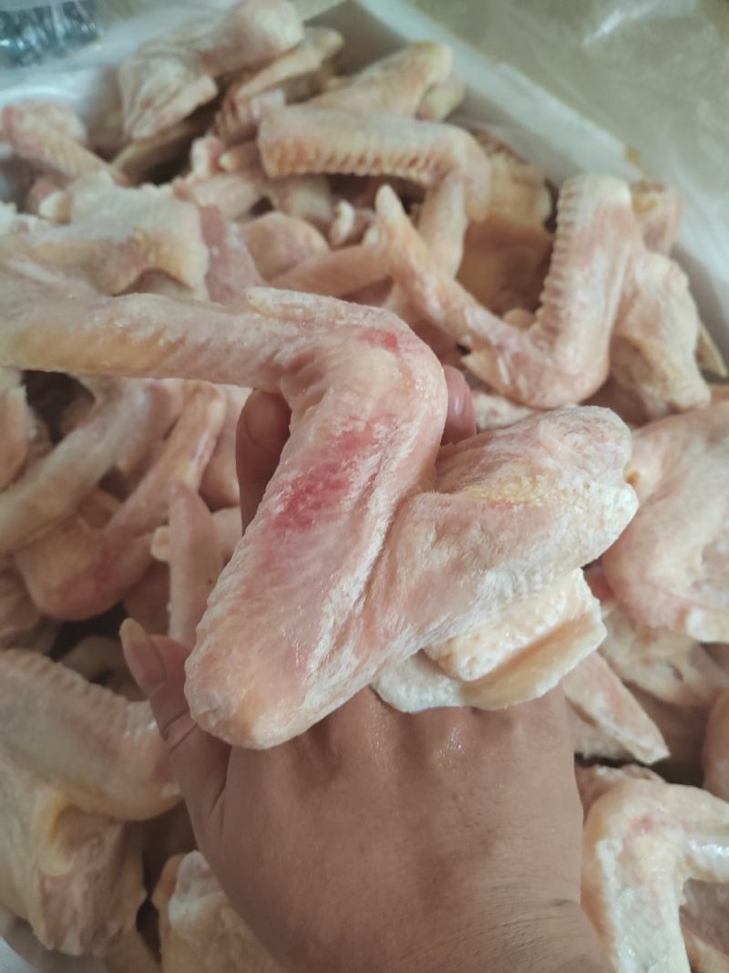 鸭翅全鸭翅个头匀称颜色干净全露天饲养