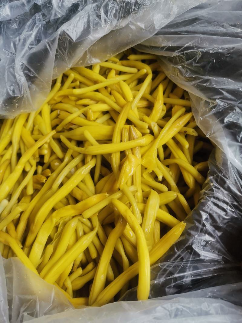 黄花菜