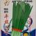 平韭六号韭菜种子河南韭菜种子基地直营叶面肥厚抗寒