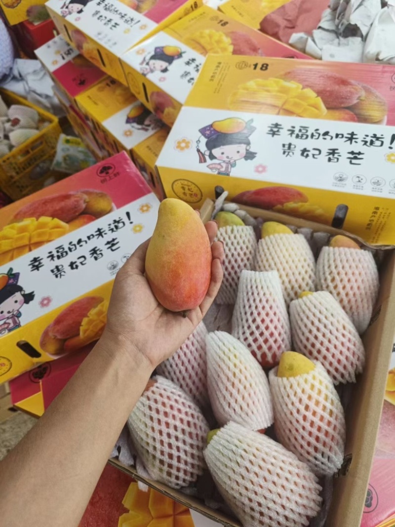 小台农，贵妃，金煌芒大量上市中，需要的联系！