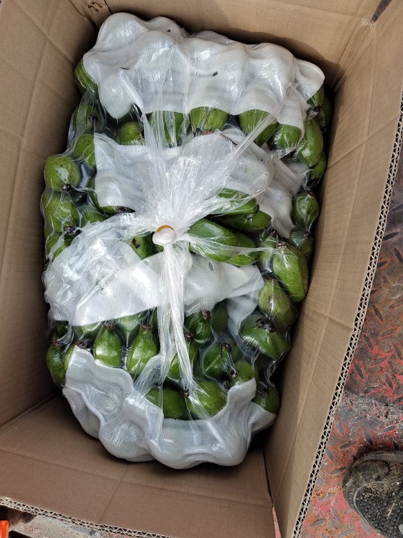 广西小米蕉，全国发货对接社区团购，电商平台一件代发