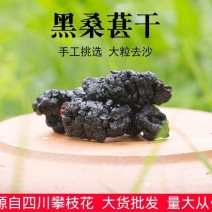 桑椹黑桑椹干规格齐全水洗货可供批发零售