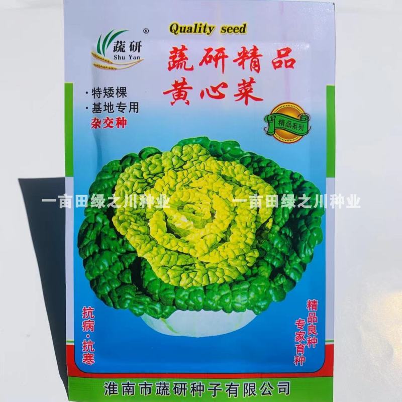 专家育种蔬研精选黄心菜种子基地专用特矮棵黄心乌种子