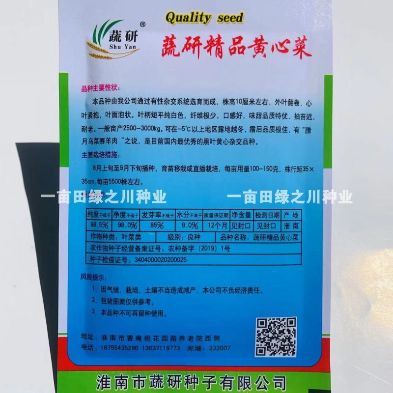 专家育种蔬研精选黄心菜种子基地专用特矮棵黄心乌种子