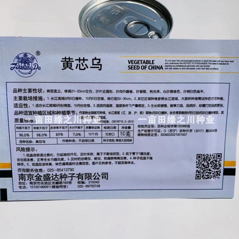 黄芯乌塌菜种子心叶黄绿色耐寒力强黄心菜种子株型直立
