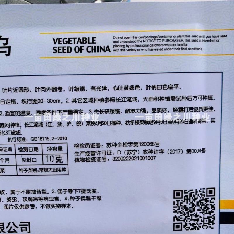 黄芯乌塌菜种子心叶黄绿色耐寒力强黄心菜种子株型直立