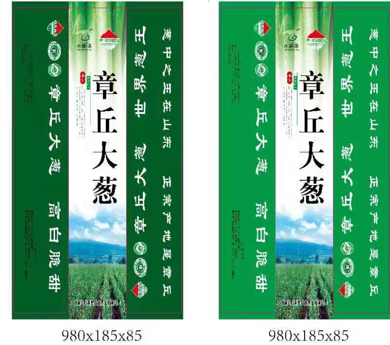 章丘长白大葱盒装精品大葱