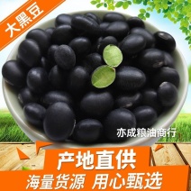 大黑豆批发现货乌皮绿芯黑豆青仁绿心大黑豆