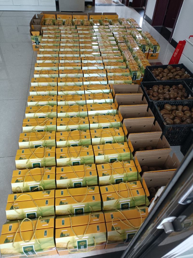 徐香猕猴桃果园大量上市，大量批发，欢迎各位老板参观采购