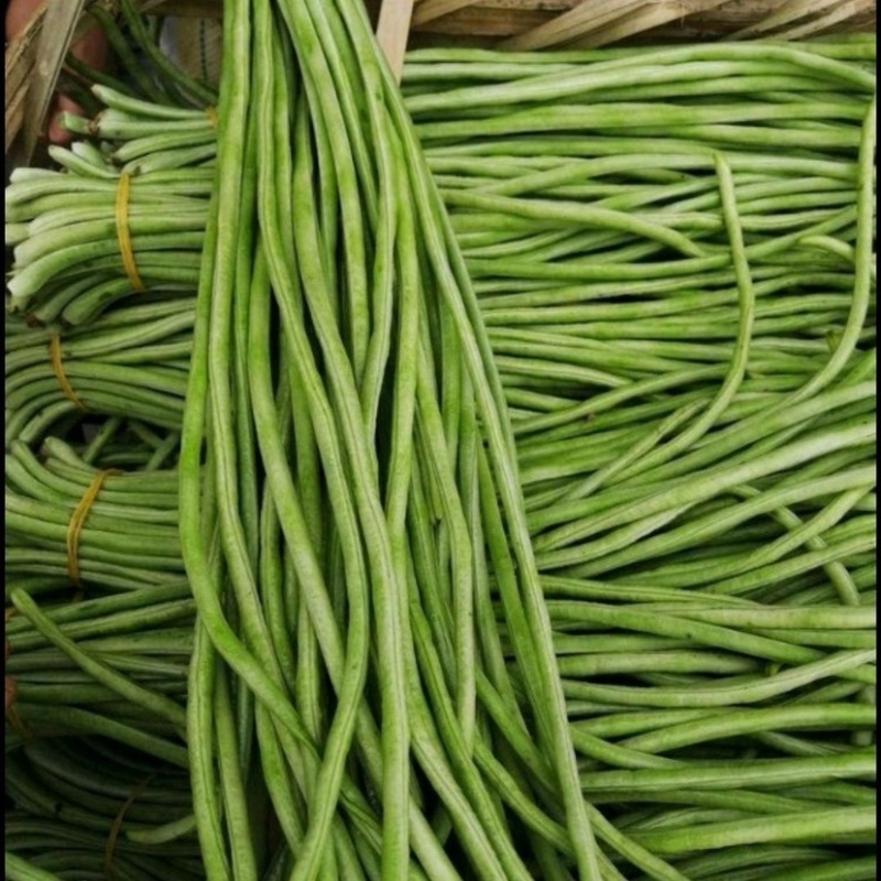 《推荐》长豆角，大量上市中，产地直销，颜色青绿，