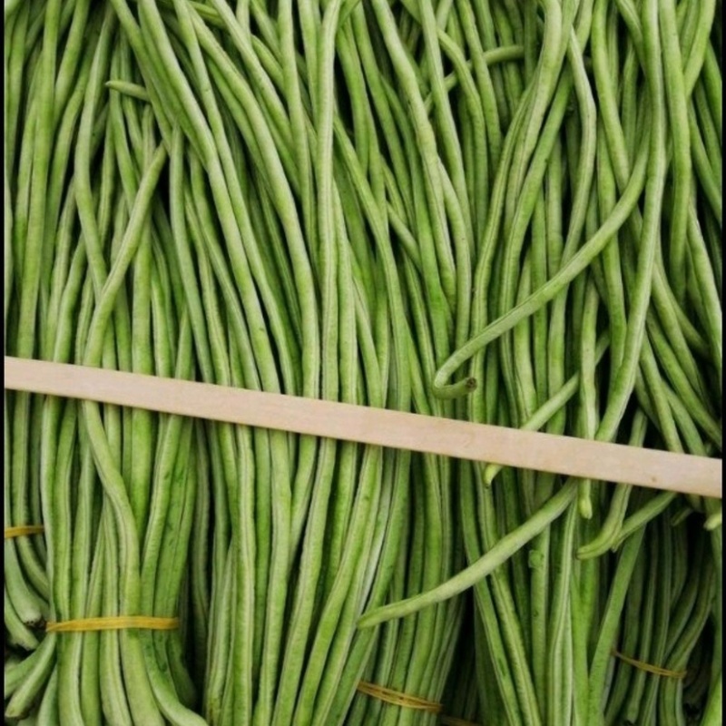 《推荐》长豆角，大量上市中，产地直销，颜色青绿，
