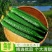 《推荐》黄瓜干花带刺25公分以上，瓜条顺直，颜色油亮
