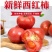 《精品》西红柿大量上市，产地直销弧三以上，粉红硬果
