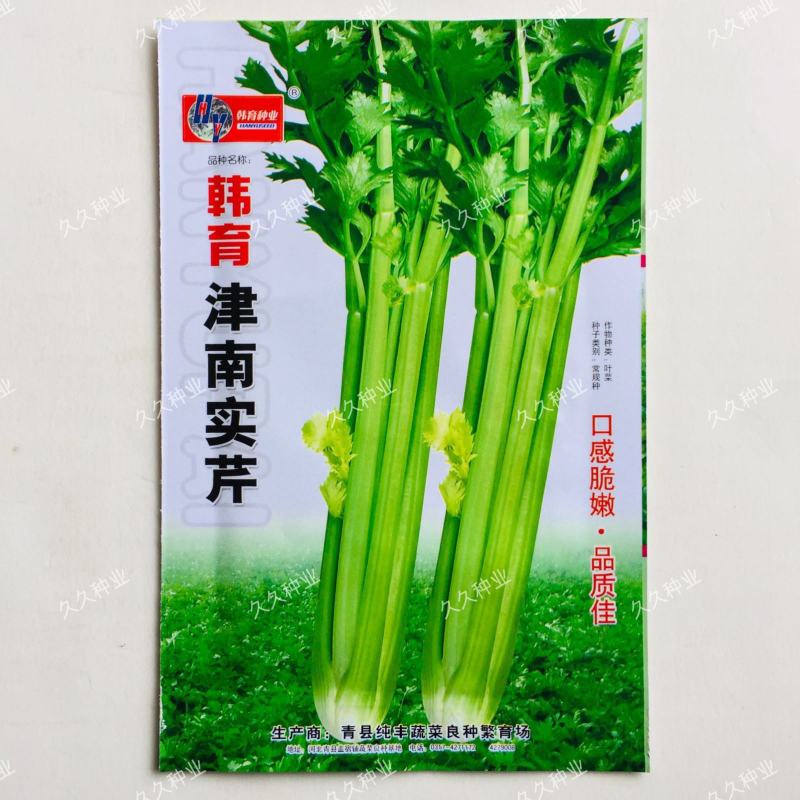 韩育津南实芹种子细嫩纤维少白根直立芹菜种籽农家田园播蔬菜
