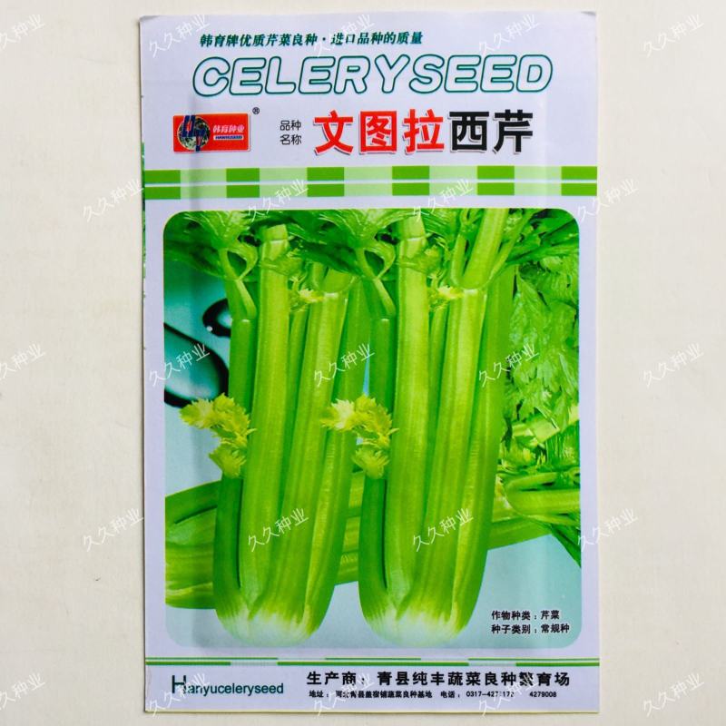 韩育文图拉西芹种子芹菜种子实芹种子四季小香芹种籽老品种芹
