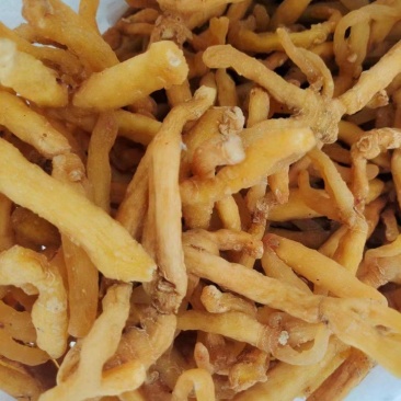 广东连州玉竹条