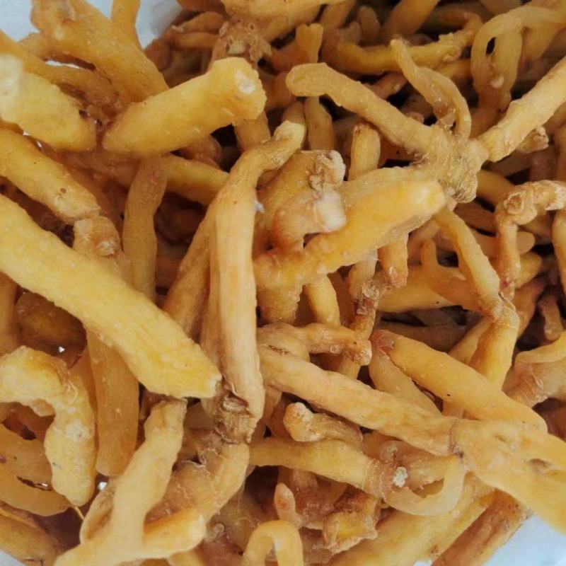 广东连州玉竹条