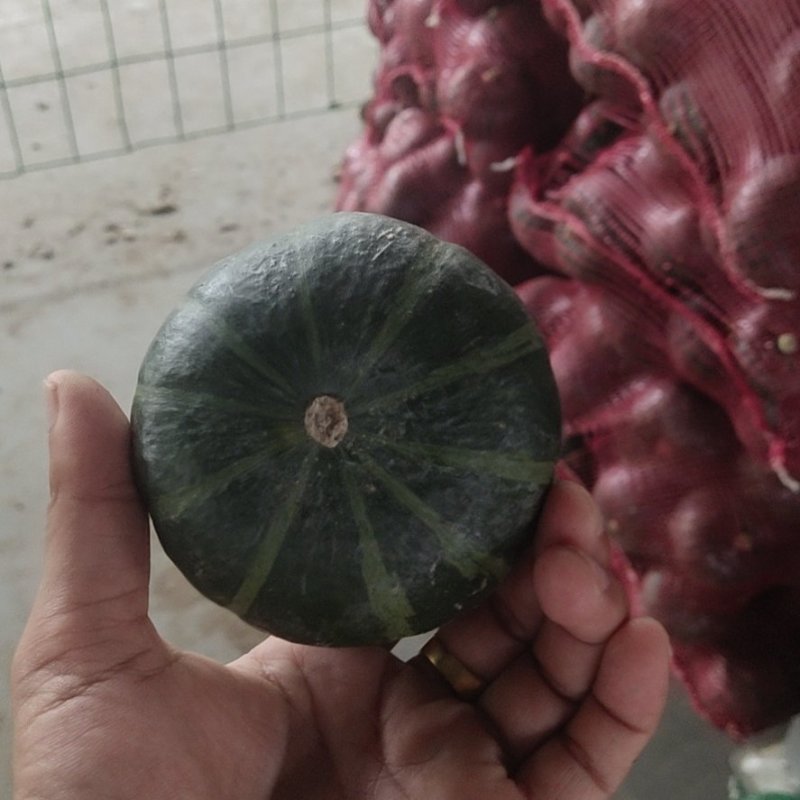 贝贝南瓜大量上市，有需要的联系我，常年供应电商，市场，超