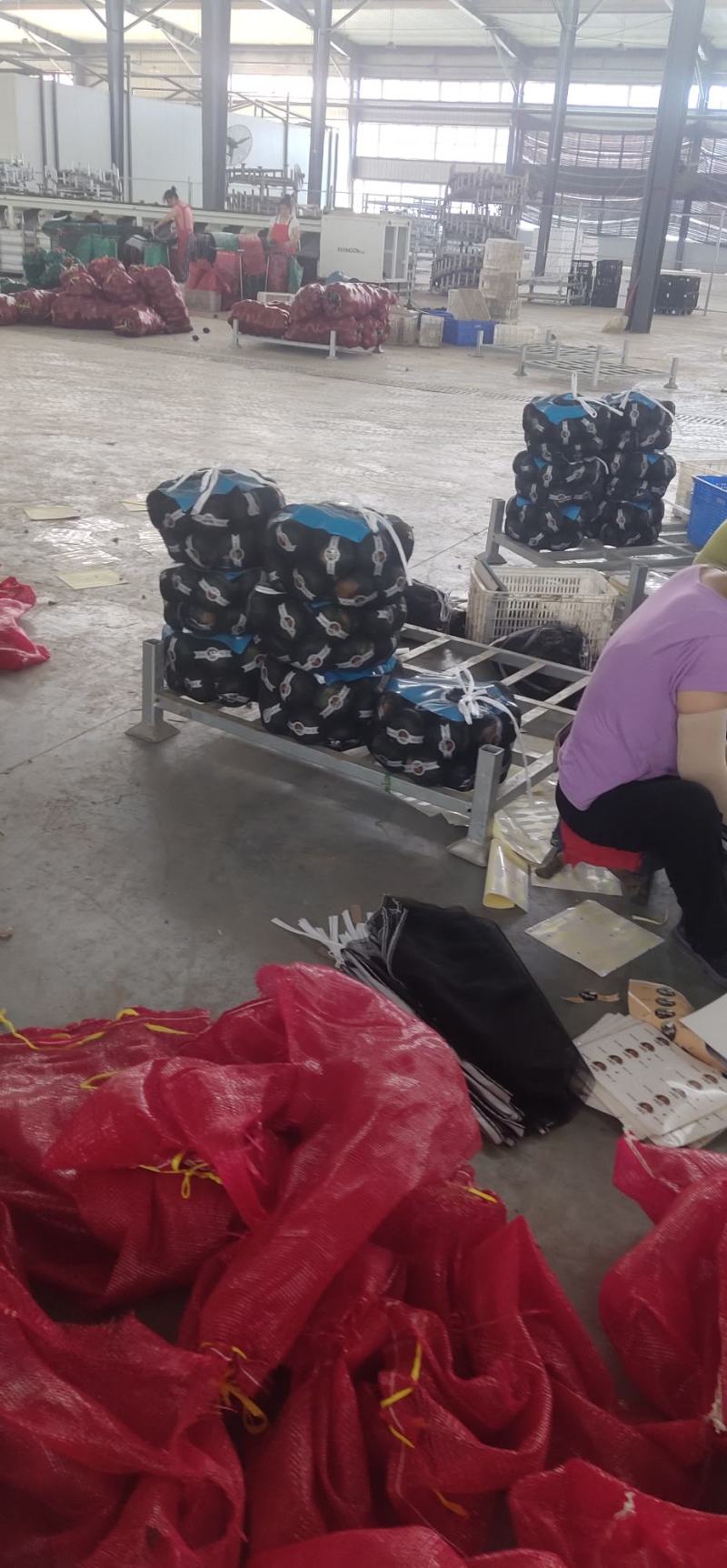 贝贝南瓜大量上市，有需要的联系我，常年供应电商，市场，超