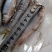 马口白鱼大嘴马口