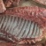 猪肉类黑猪肉山上放养山猪肉香猪肉可大量供货酒楼生鲜农庄