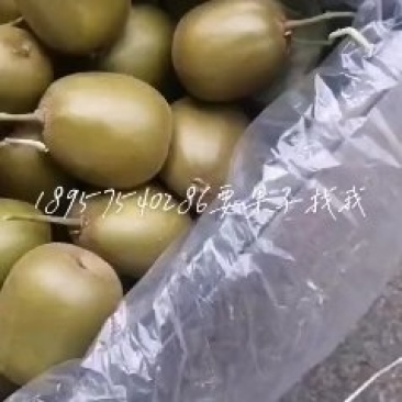 果园定价格