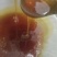 野蜂蜜_百花蜜，优质好蜜，无人工干预，天然食品放心食用
