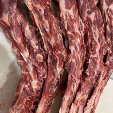 内蒙古巴彦淖尔美洋洋多肉羊脊骨，每天新货新鲜肉多草原羊脊