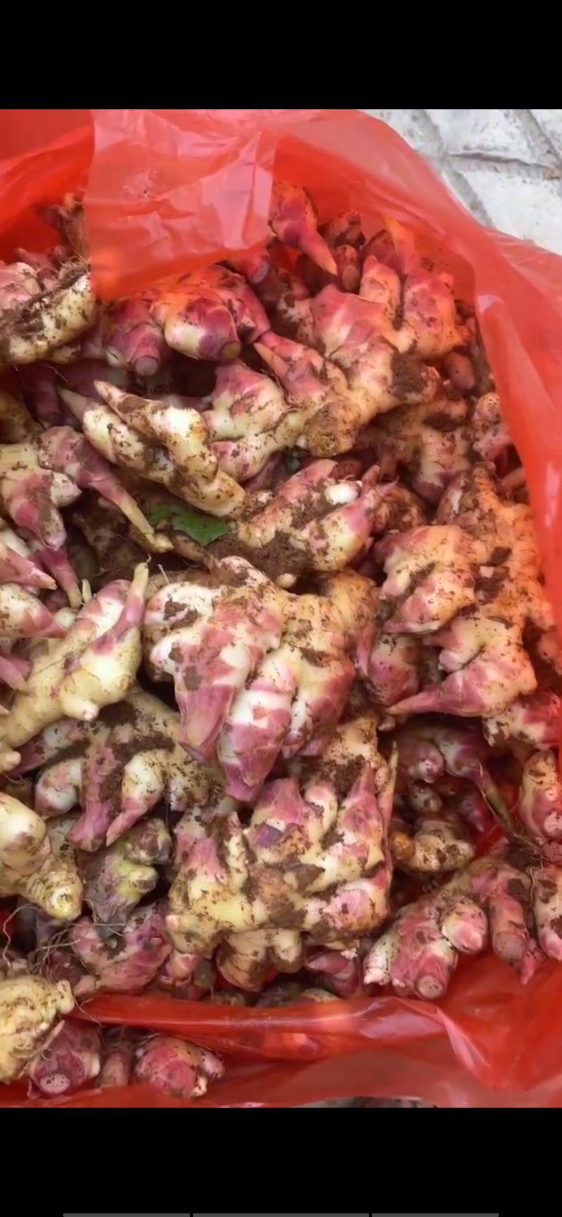 小黄姜