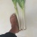 钢葱