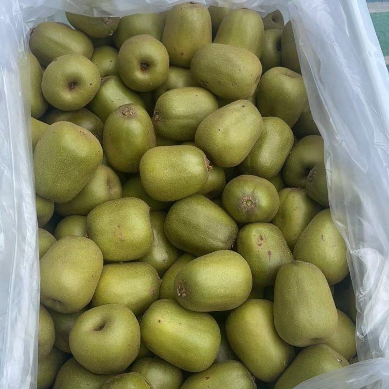 红心弥猴桃