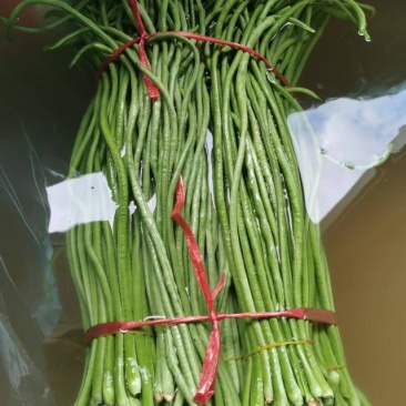 精品长豆角
