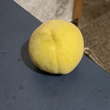 黄桃