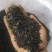 花椒籽，一手货源产地直发欢迎各位老板来购