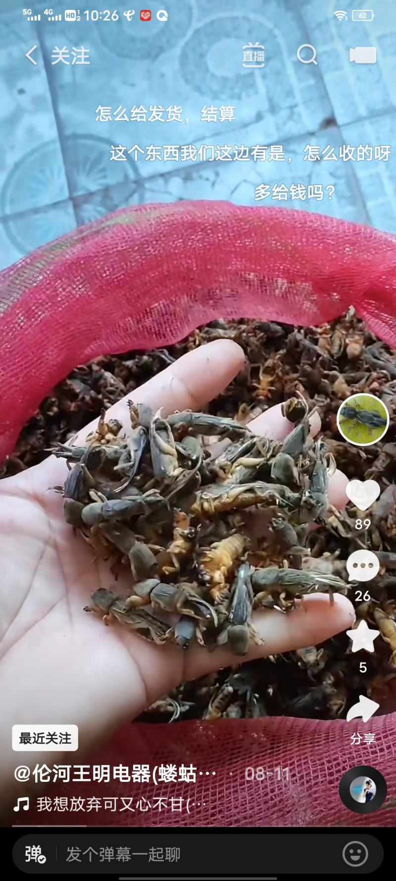 蝲蝲蛄