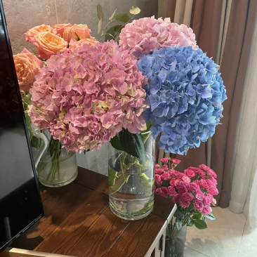 绣球鲜切花云南鲜花基地直发绣球鲜花批发鲜花一件代发