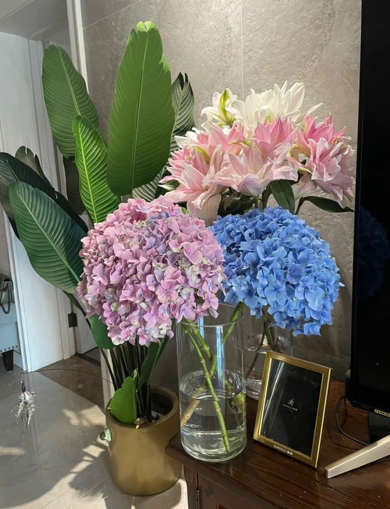 绣球鲜切花云南鲜花基地直发绣球鲜花批发鲜花一件代发
