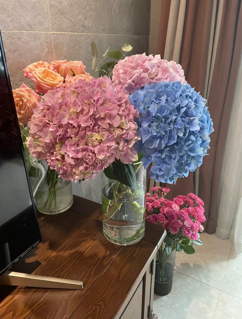 绣球鲜切花云南鲜花基地直发绣球鲜花批发鲜花一件代发