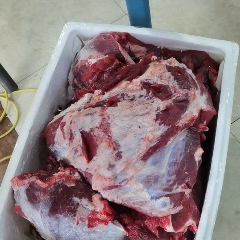 南阳本地黄牛肉纯干货不注水牛肉保证品质长期供货