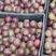 紫龙山百香果，原生态，香甜可口！品质有保证！