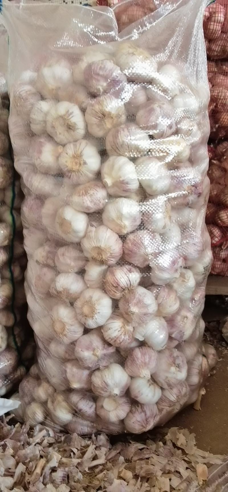 紫皮大蒜鲜蒜中牟大蒜电商大蒜湿蒜鲜蒜