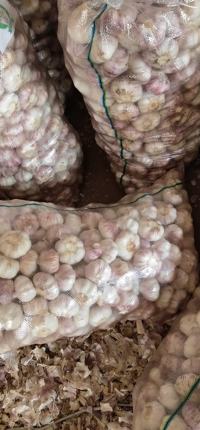 紫皮大蒜鲜蒜中牟大蒜电商大蒜湿蒜鲜蒜