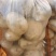 土豆2~3两精品土豆品种齐全大量有货欢迎选购