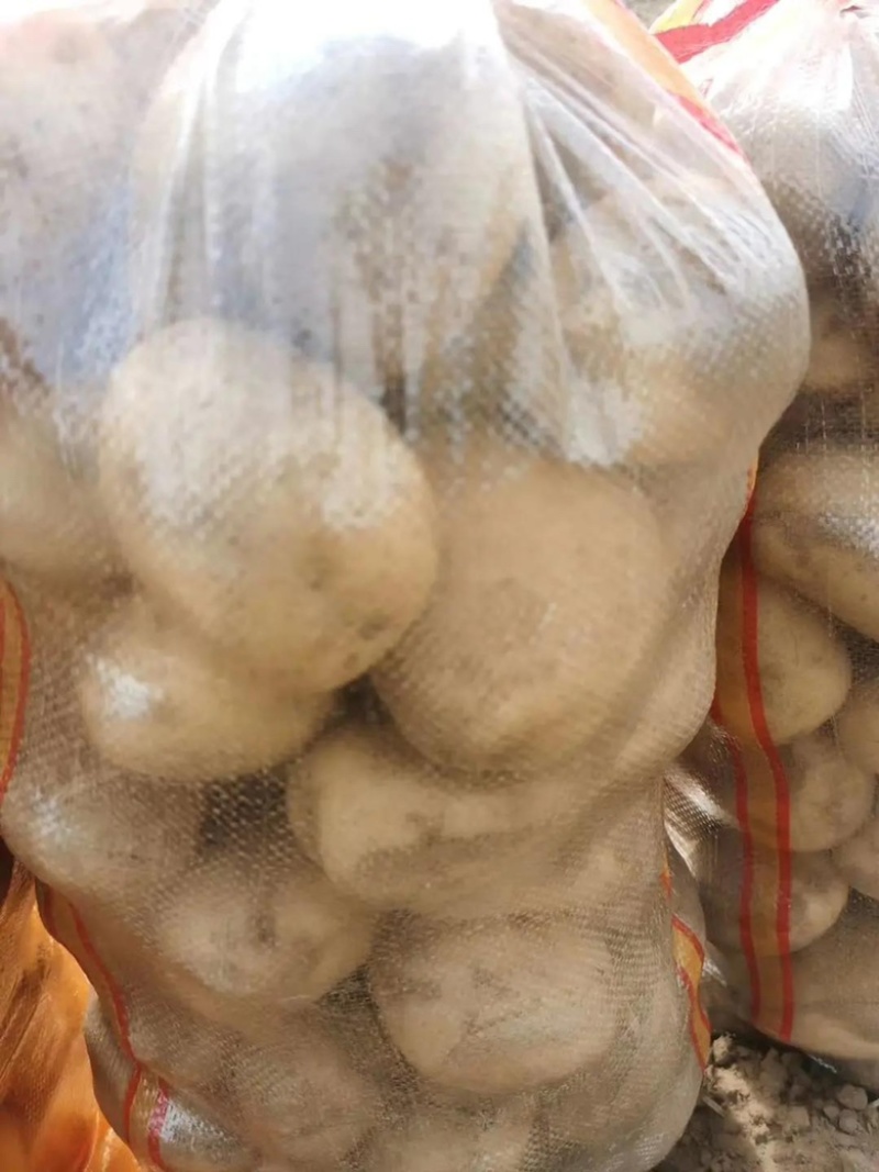 土豆2~3两精品土豆品种齐全大量有货欢迎选购