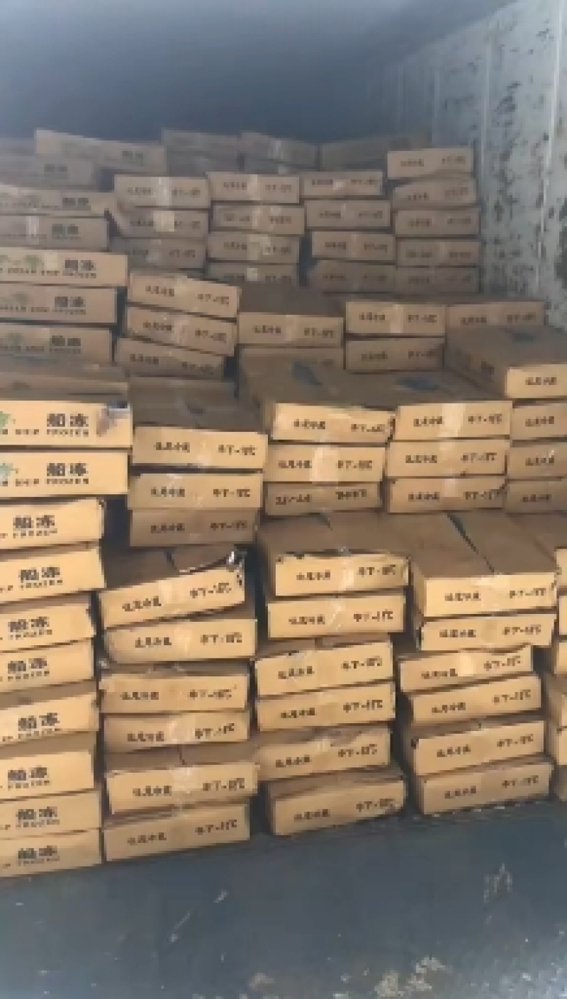 鲅鱼新鲜船冻鲅鱼4号鲅鱼一手货源船冻鲅鱼
