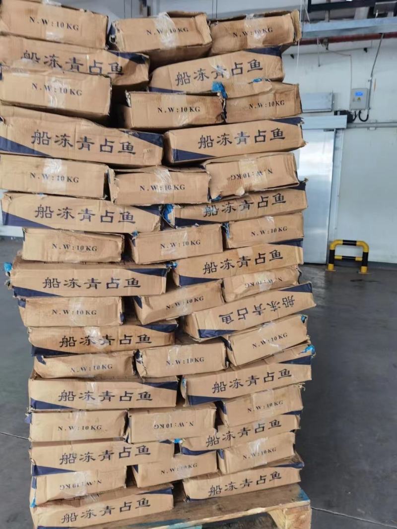 鲅鱼新鲜船冻鲅鱼4号鲅鱼一手货源船冻鲅鱼