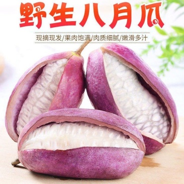 八月瓜马上可以吃了，原生态的